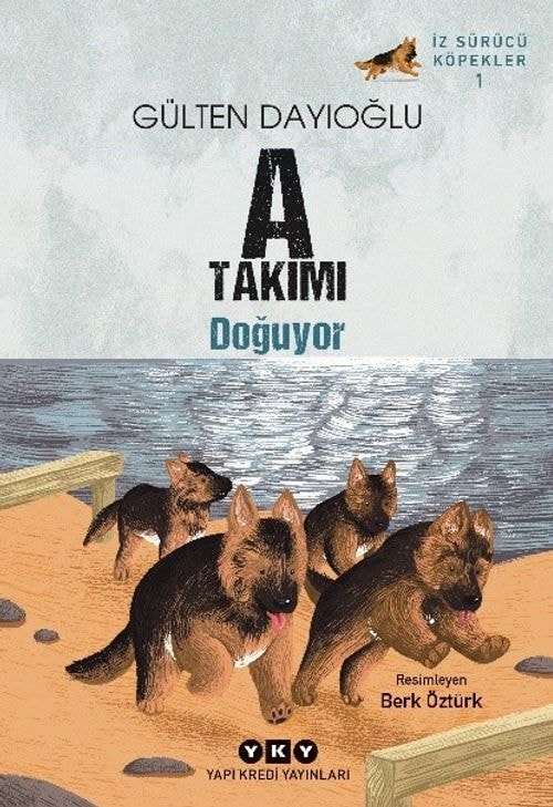 Cover van A Takımı Doğuyor