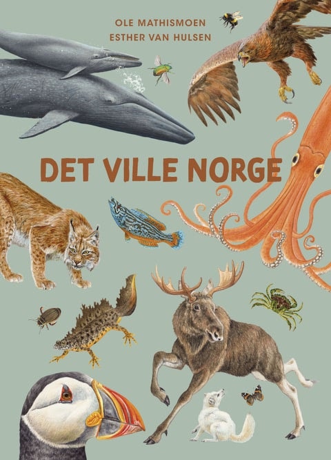 Cover van Det ville Norge