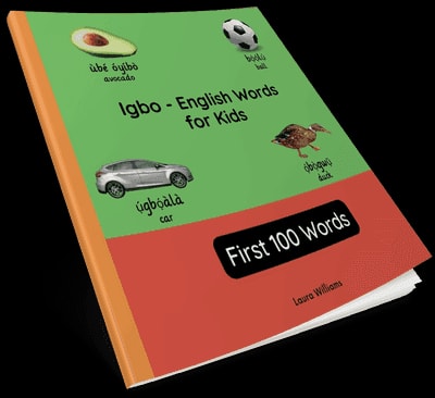Cover van First 100 Words: Teach and Learn Igbo For Kids and Beginners