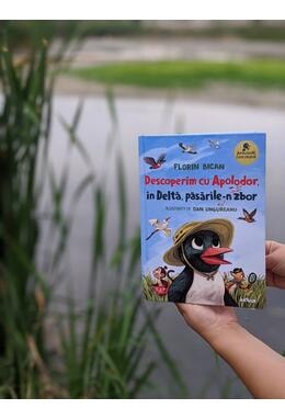 Cover van Descoperim cu Apolodor, în Deltă, păsările-n zbor
