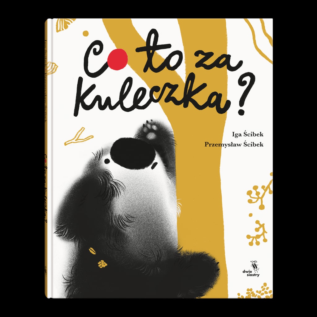 Cover van Co to za kuleczka?