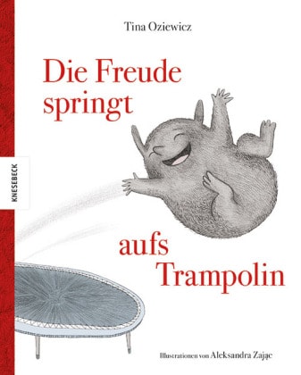 Cover van Die Freude springt aufs Trampolin